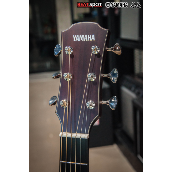 YAMAHA AC5M