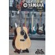 YAMAHA F600