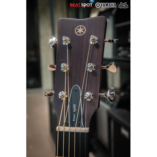 yamaha FG5