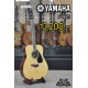 Yamaha FG820