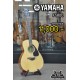 yamaha FS800
