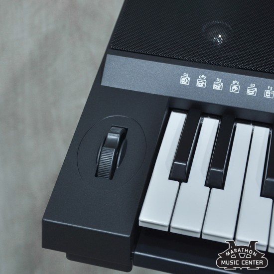 Roland EX20