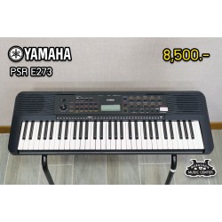 PSR E273