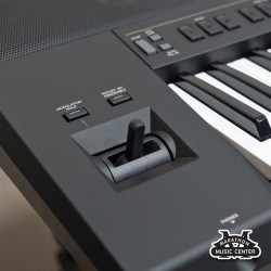 PSR-SX900