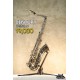 Saxophone Alto- Century CAS500N