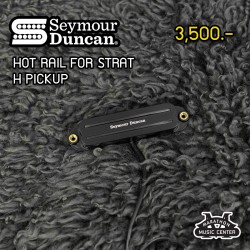 Seymour Duncan Hot Rails for Strat Seymour Duncan Hot Rails for Strat