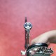 Trumpet - Century CTP501N