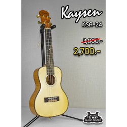 Kaysen KSA24