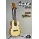 Kaysen KSA24