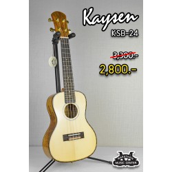 Kaysen KSB24