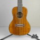 Kaysen MA9/24