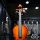 Niccolo 1/4 Series C