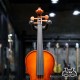 Niccolo 1/8 Series C