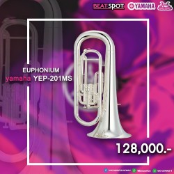 yamaha YEP-201MS