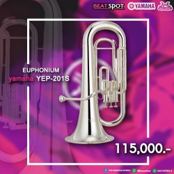 yamaha YEP-201S
