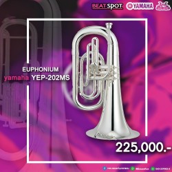 yamaha YEP-202MS