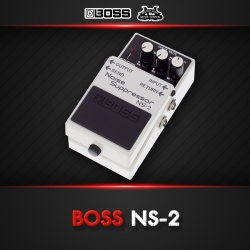 BOSS NS2