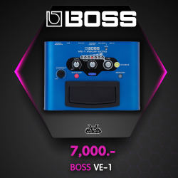 Boss VE-1 Boss VE-1